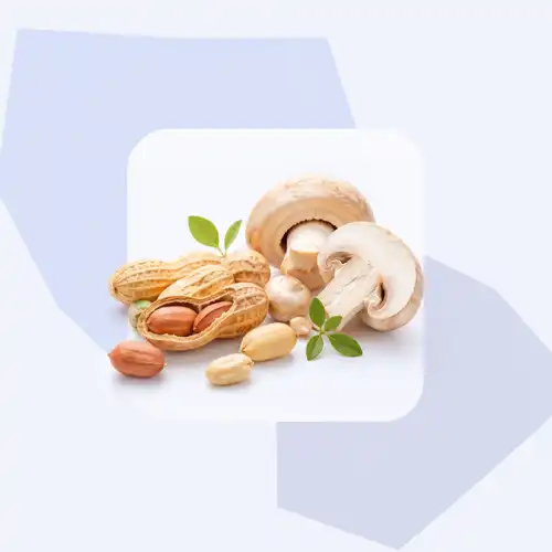 فيتامين ب3 · النياسيناميد